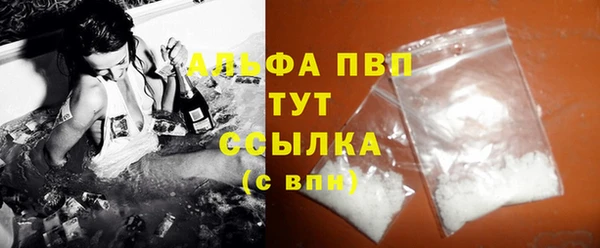 скорость Каменка