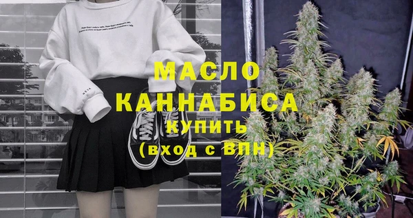 скорость Каменка