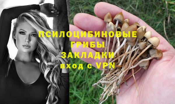 скорость Каменка