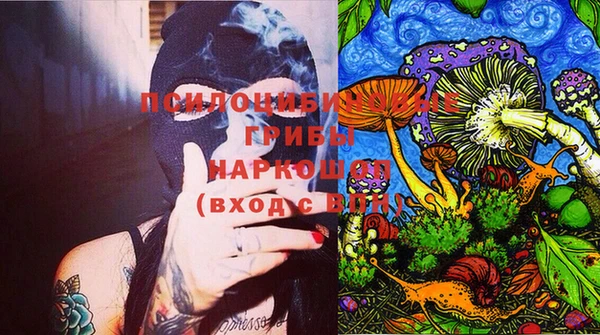 молекула духа Каменногорск