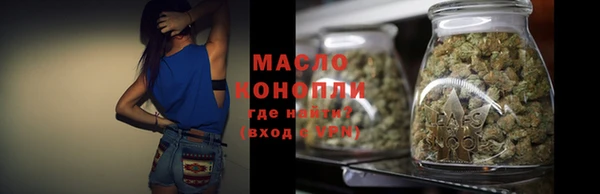 скорость Каменка