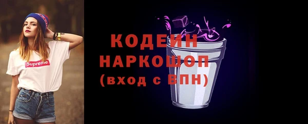 скорость Каменка
