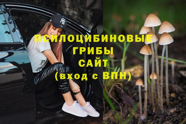 мяу мяу мука Каменск-Шахтинский