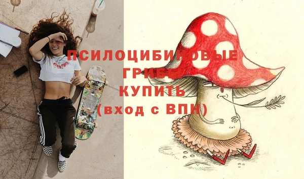 мяу мяу мука Каменск-Шахтинский