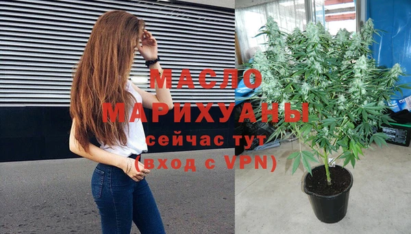 молекула духа Каменногорск