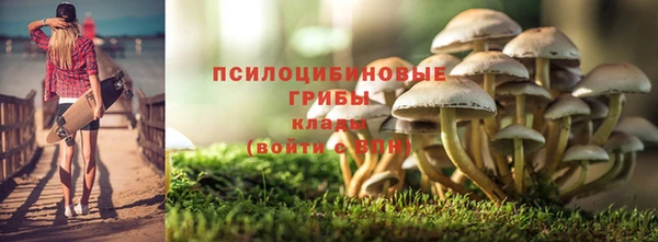 мяу мяу мука Каменск-Шахтинский