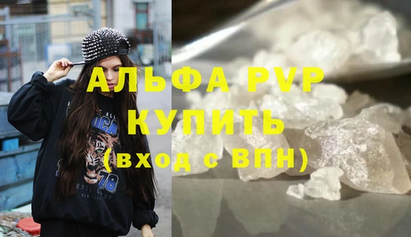скорость Каменка