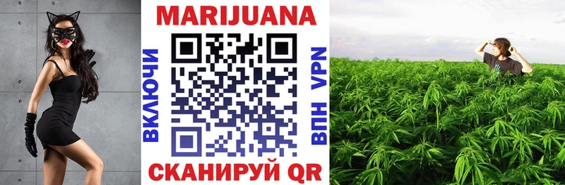 Купить где  Краснозаводск  Бошки Шишки семена 